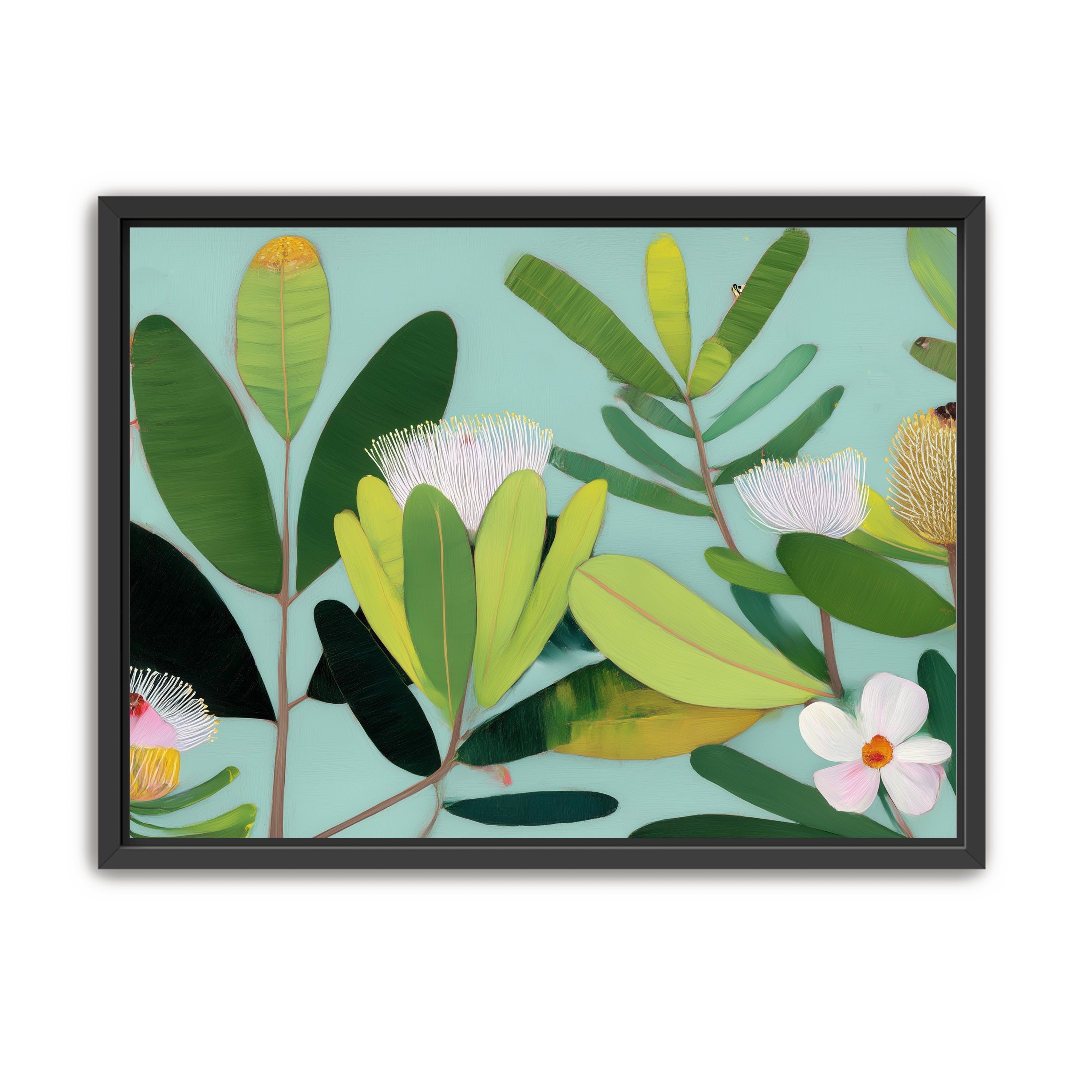 Australian Flora 3