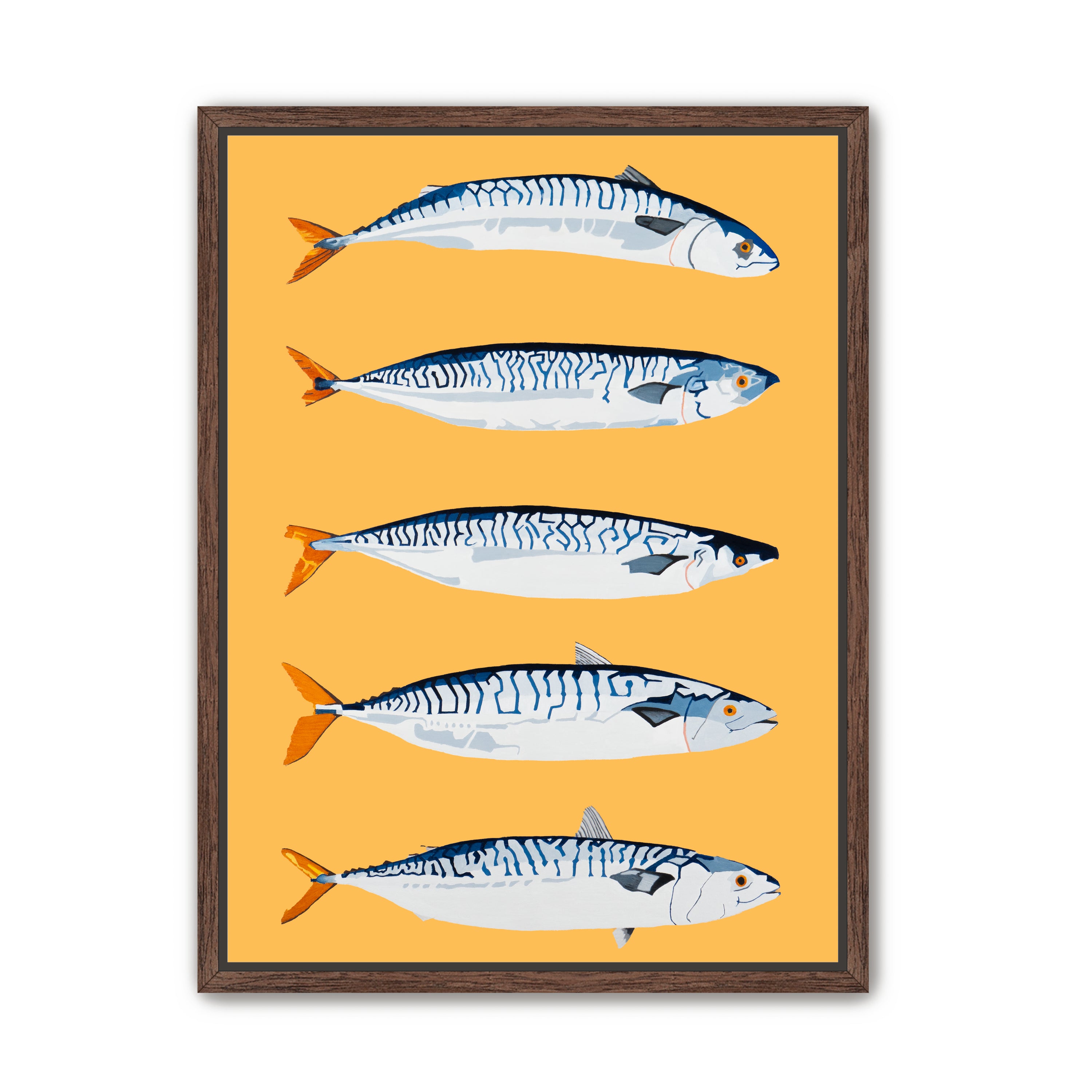 The Freshwater Five