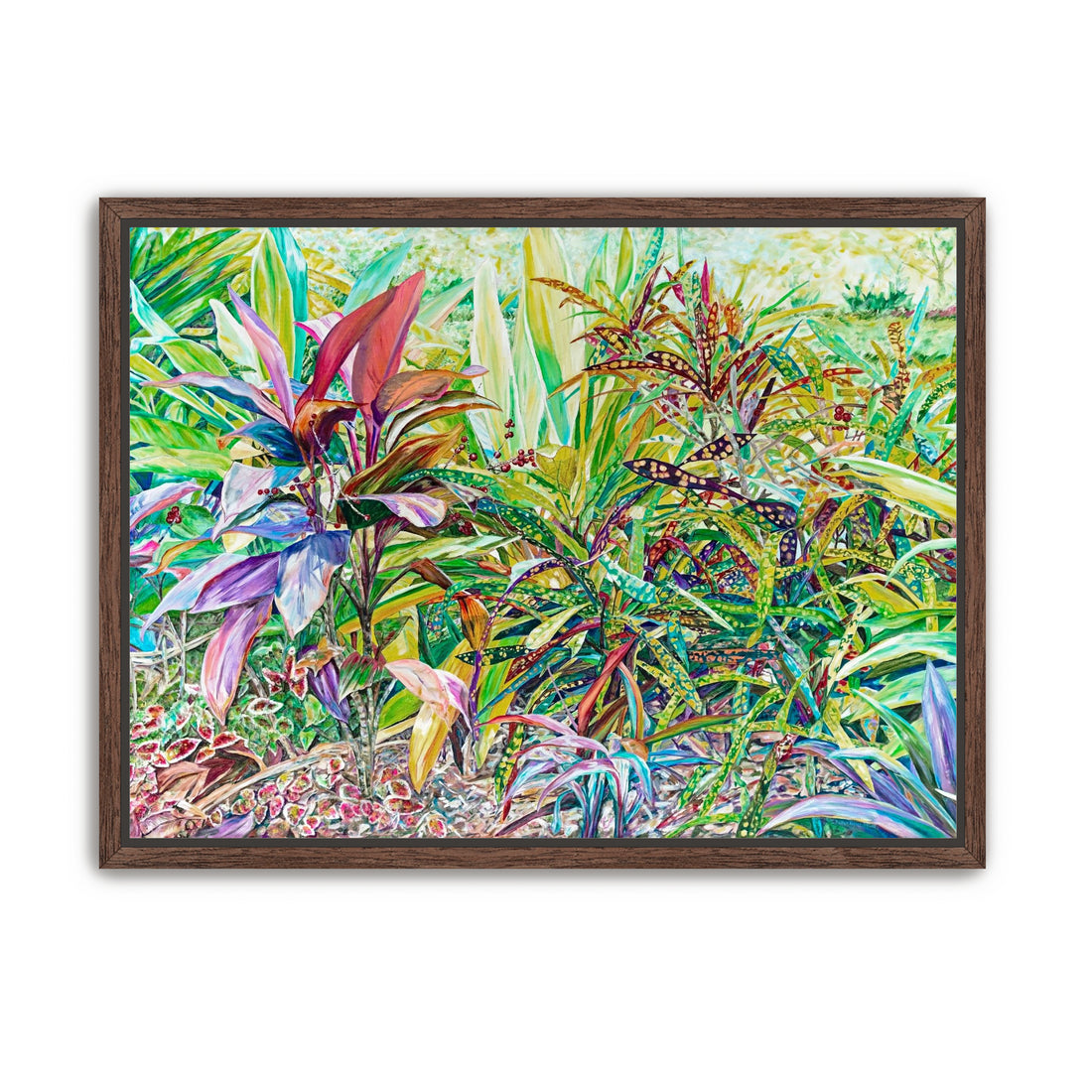 Ti Plant with Crotons