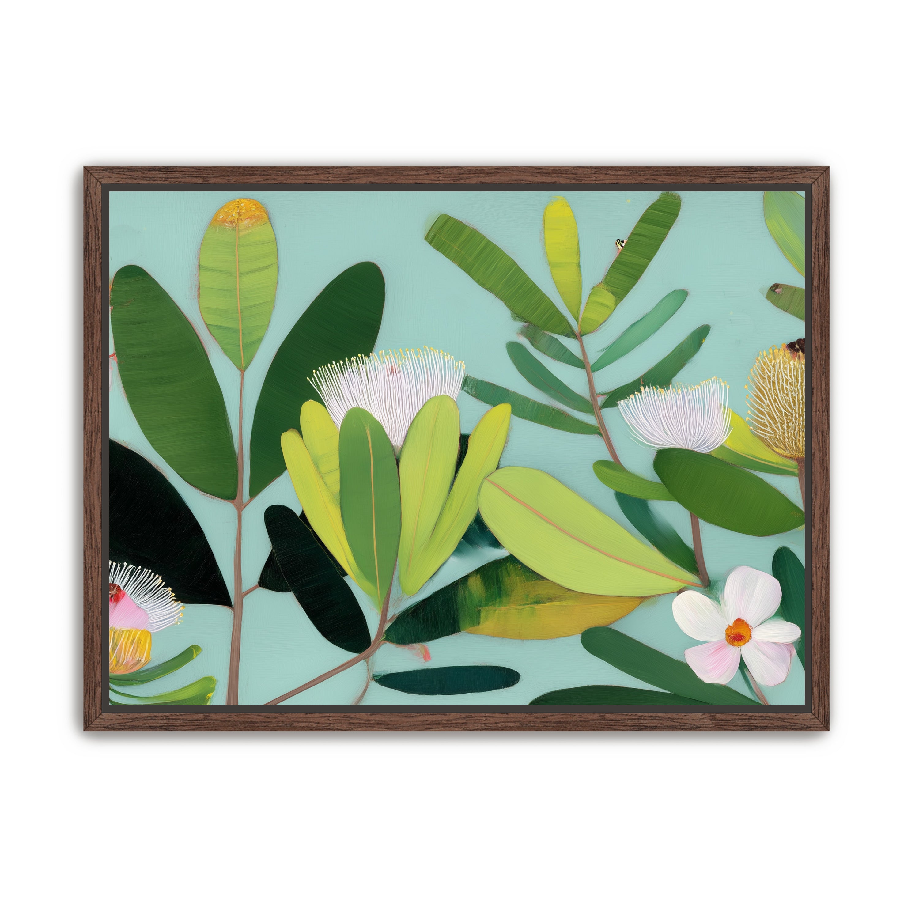 Australian Flora 3
