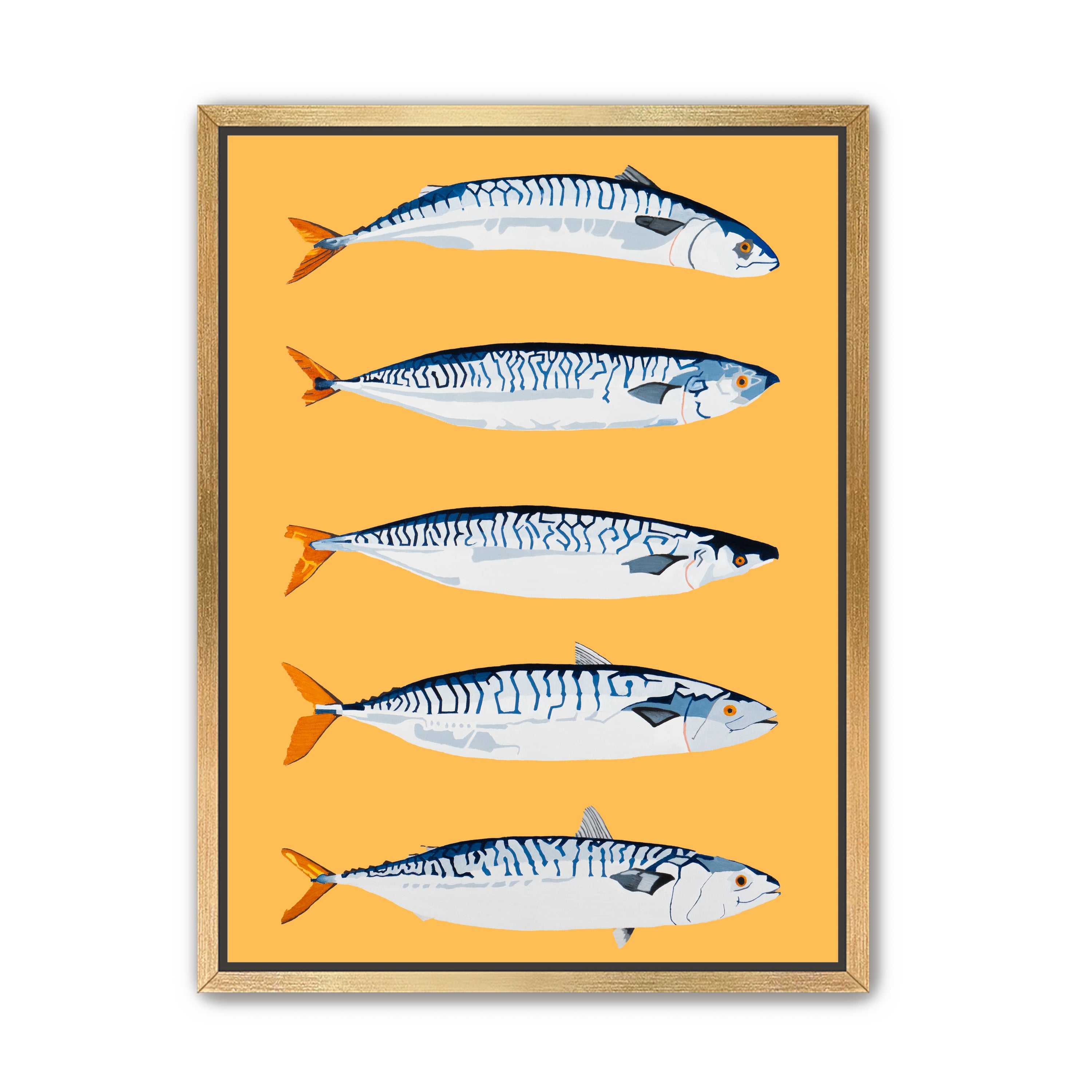 The Freshwater Five