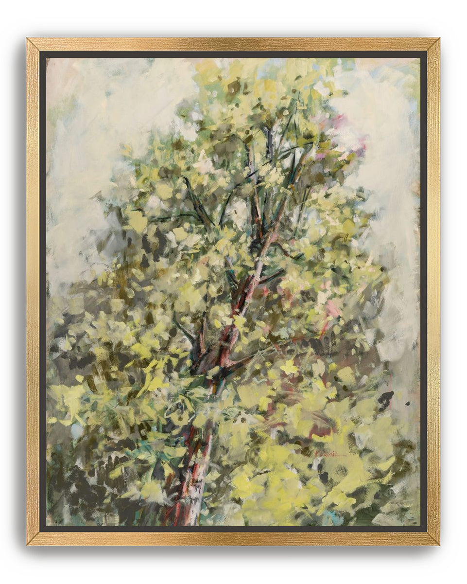 a soft place to land 2