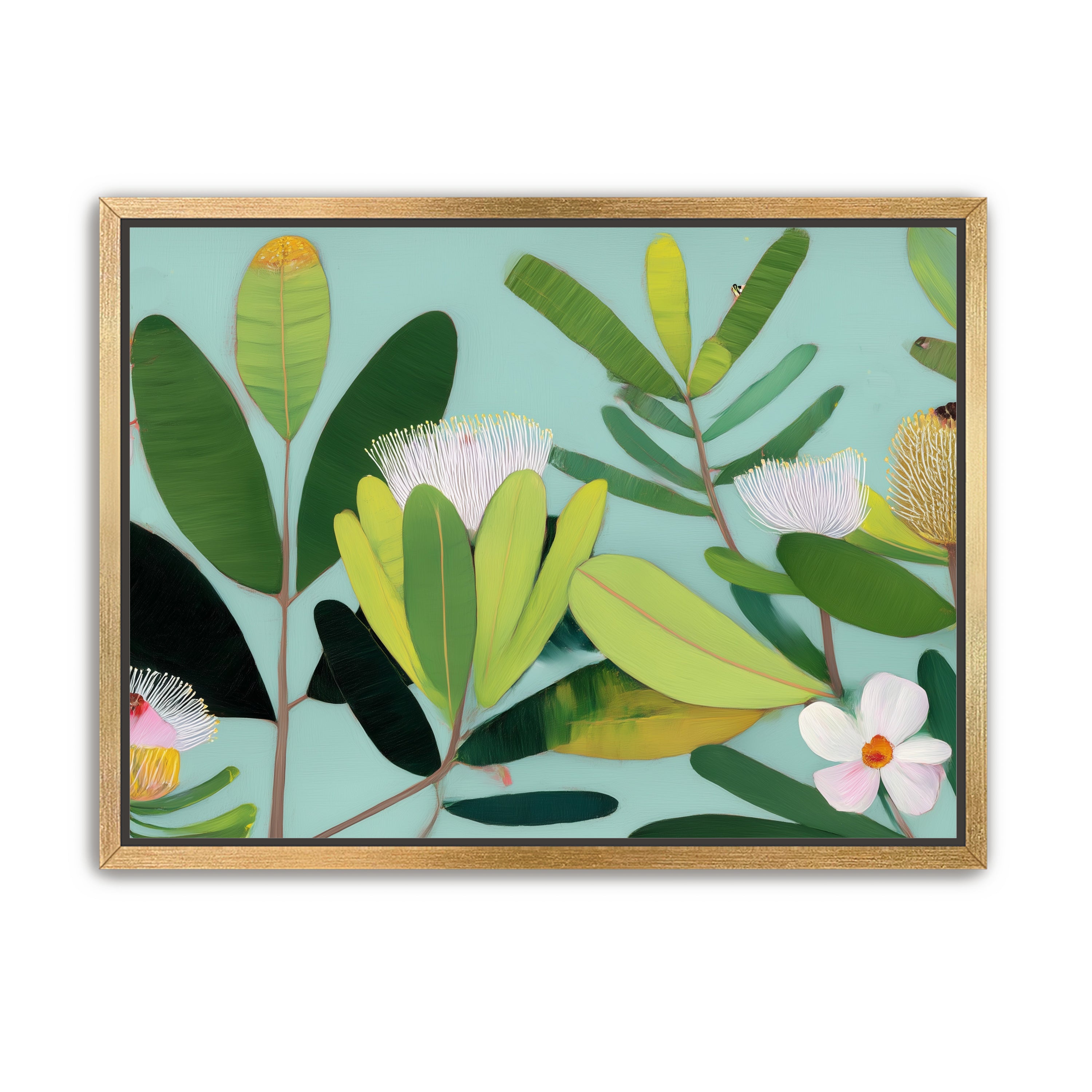 Australian Flora 3