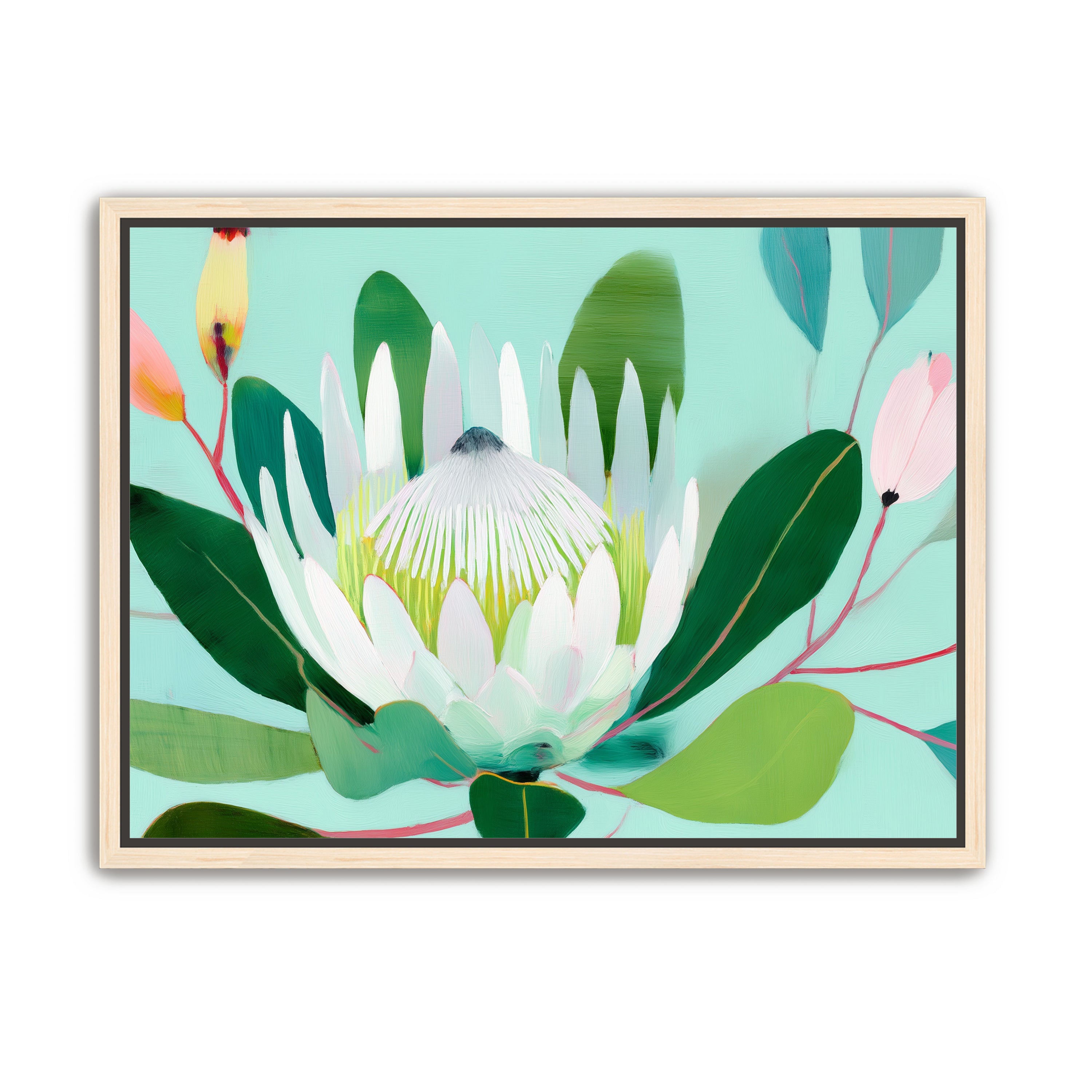 Australian Flora 4