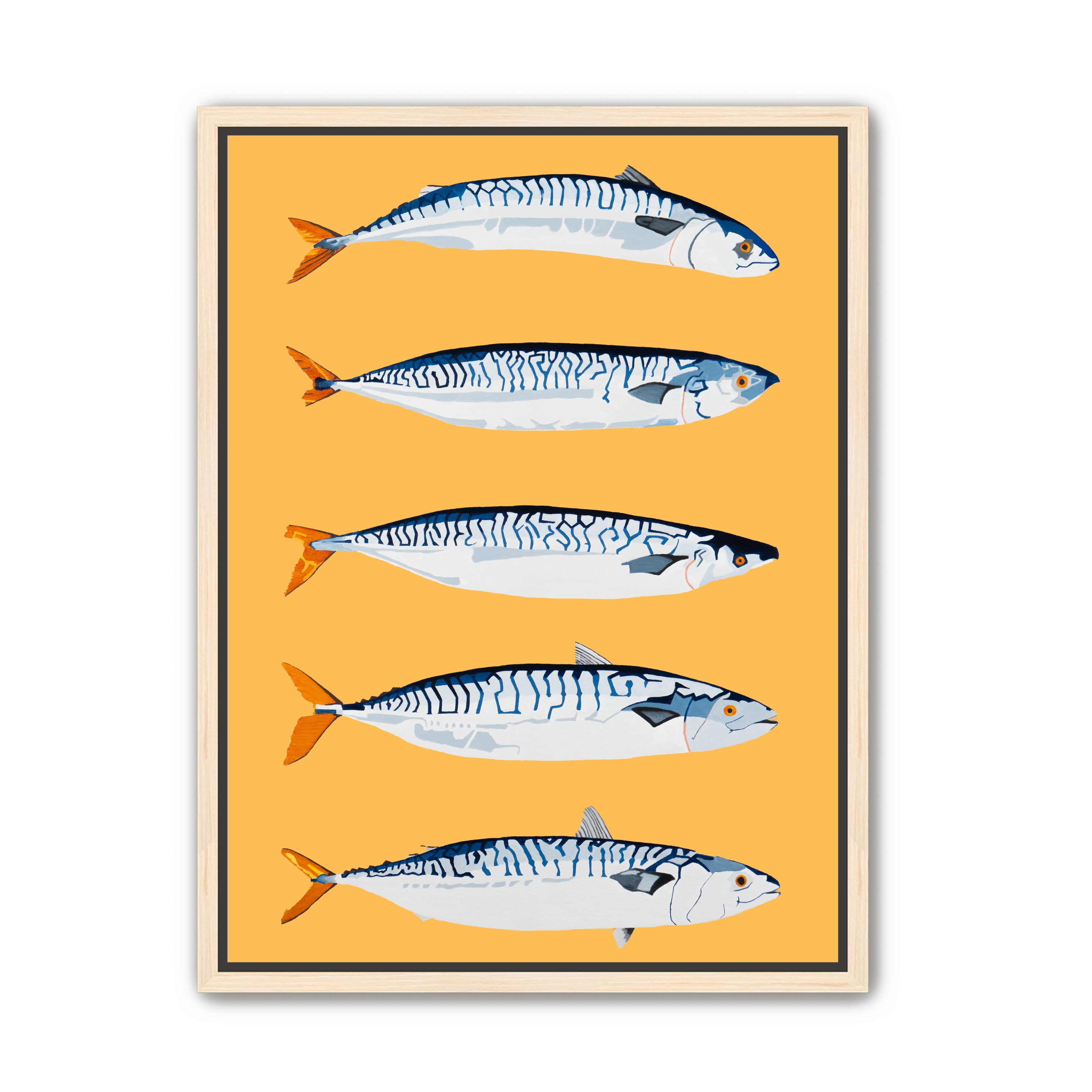 The Freshwater Five