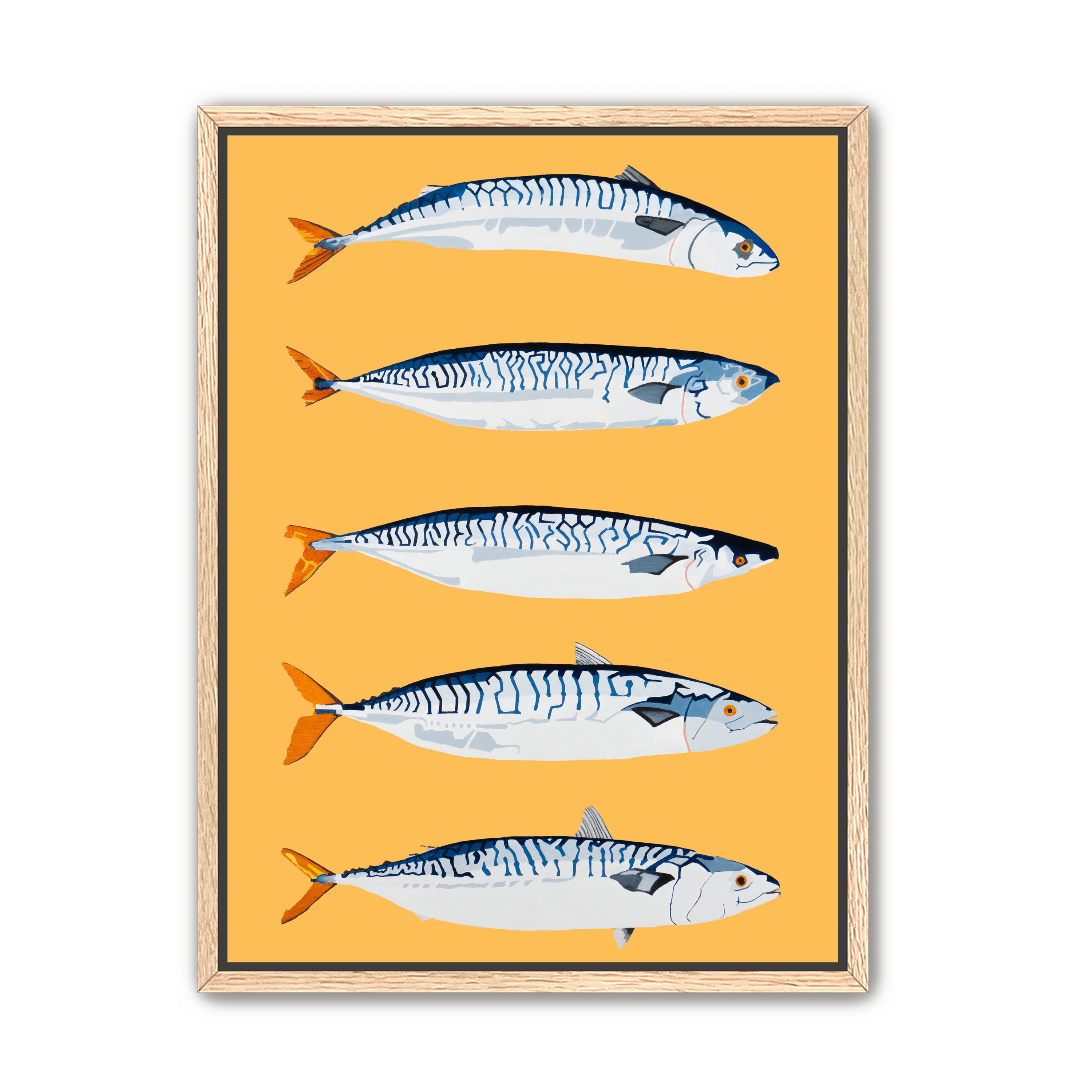 The Freshwater Five