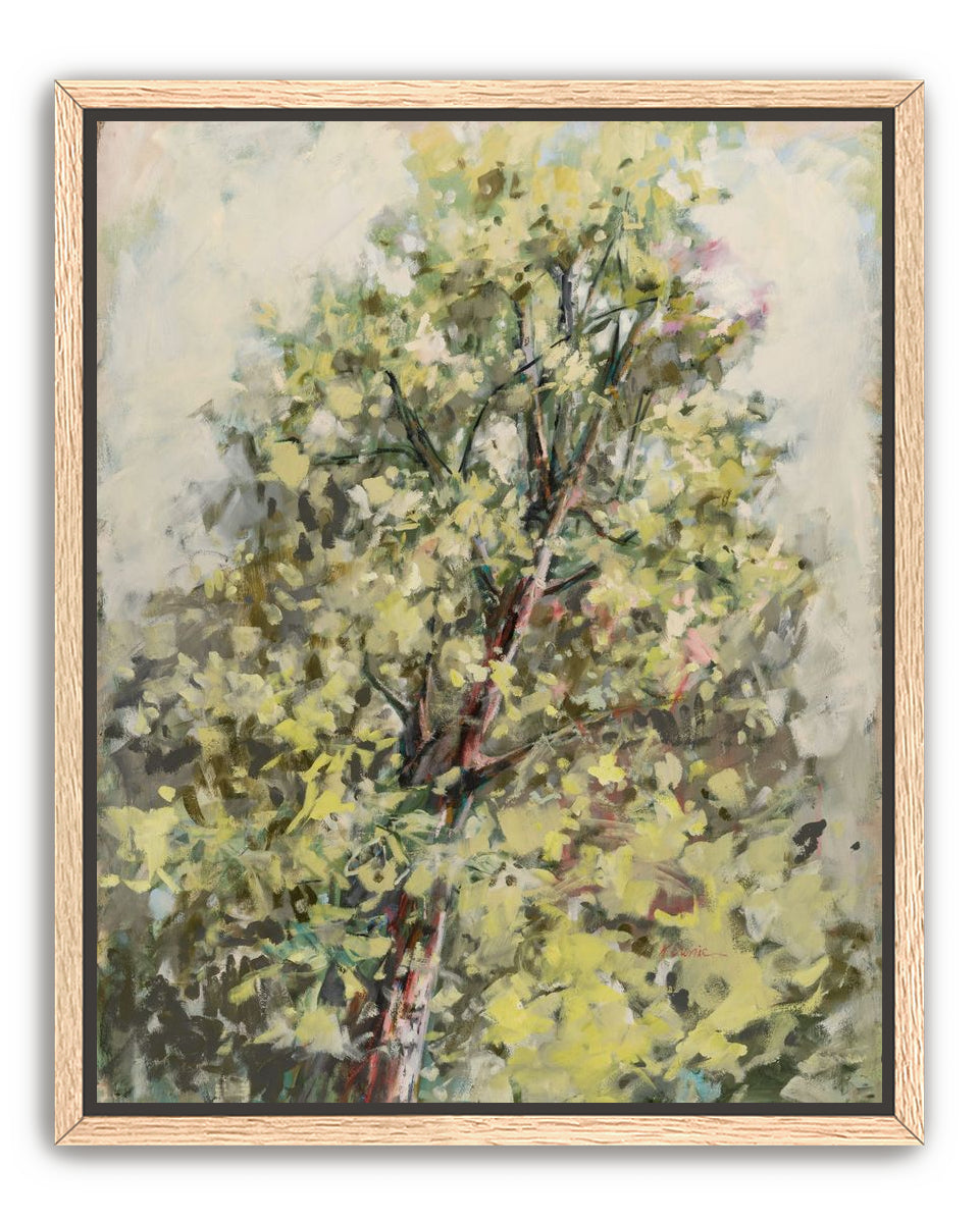 a soft place to land 2