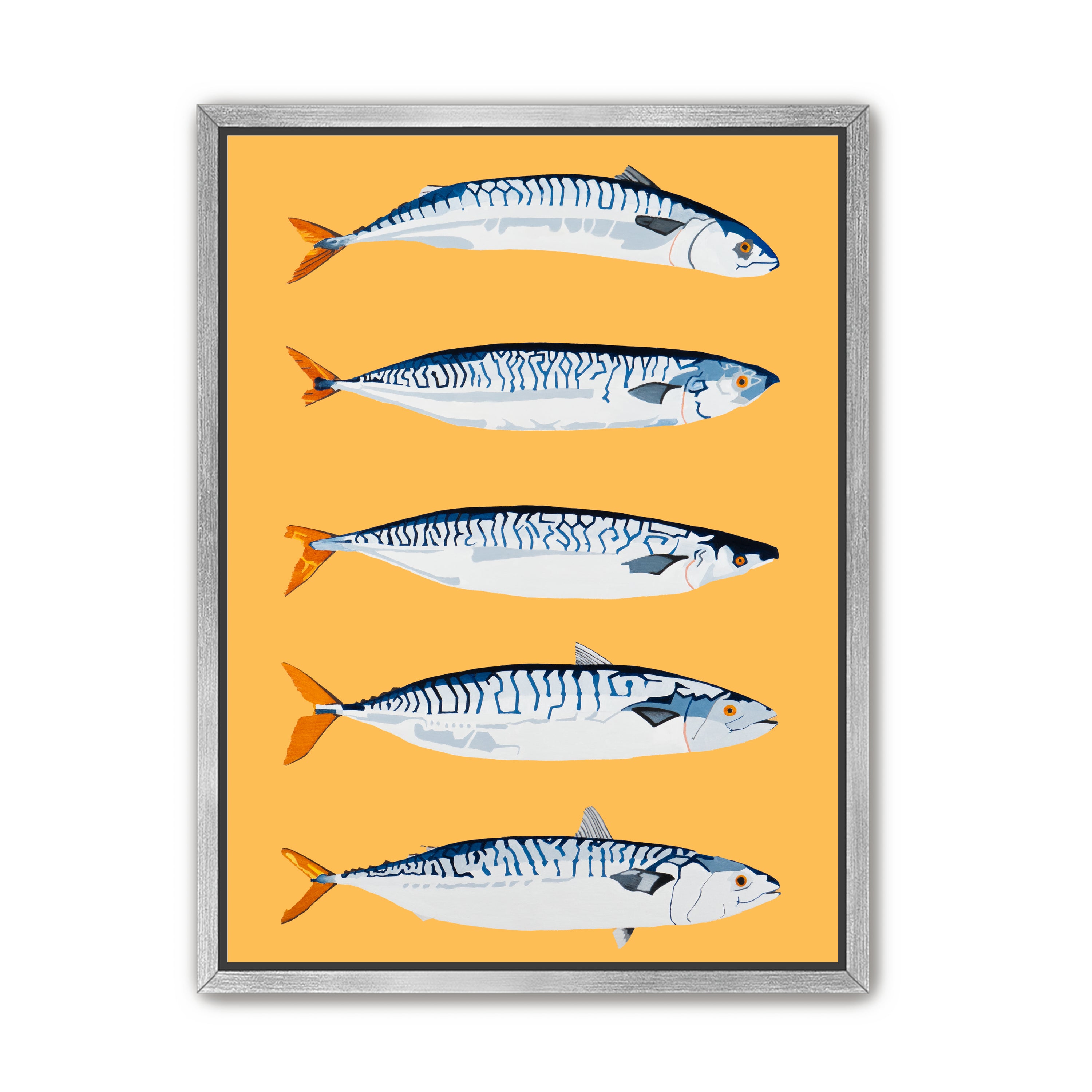 The Freshwater Five