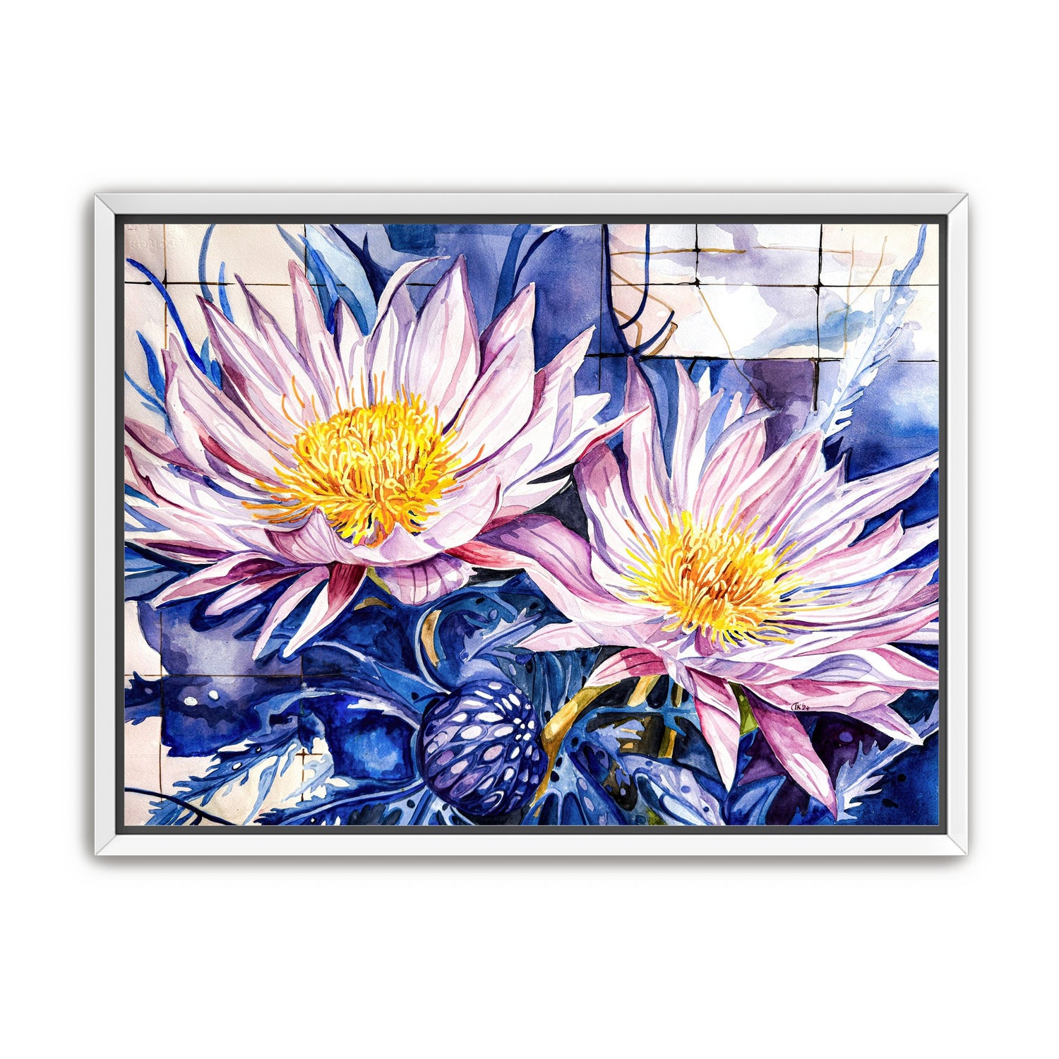 Purple Carpobrotus edulis