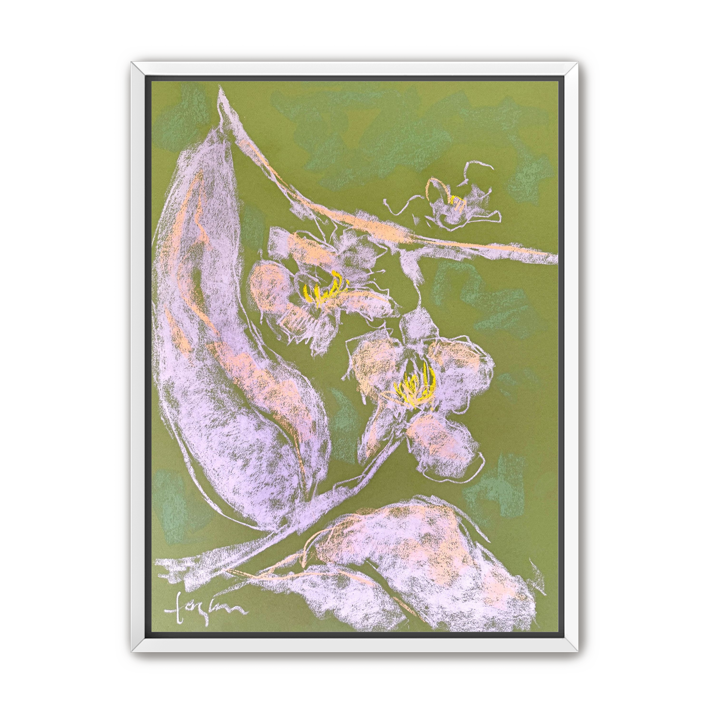 Orchid Sisters III