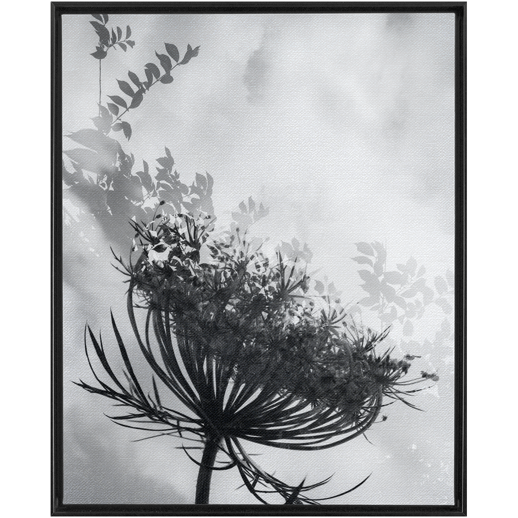 Dancing with the Clouds