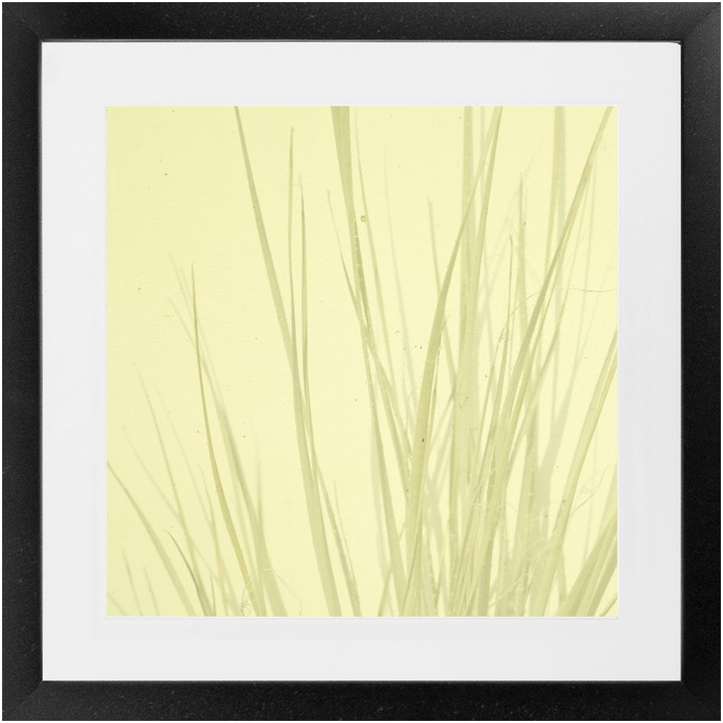 Imperfect Elegance No. 7