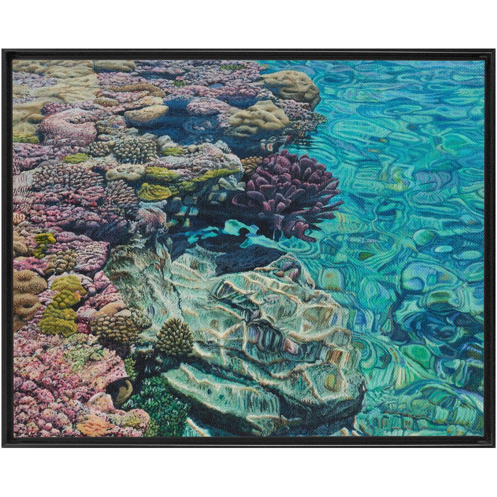 Coral Apocalypse