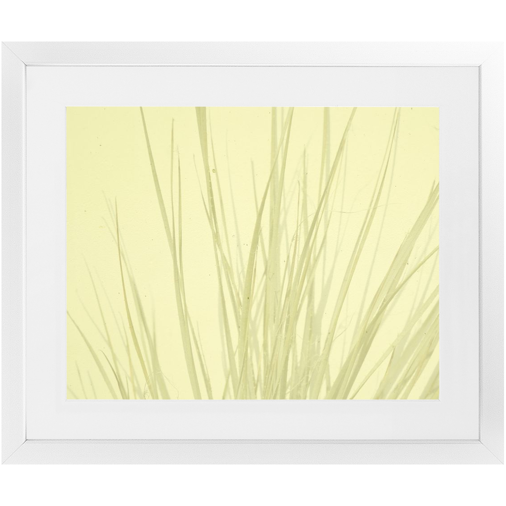 Imperfect Elegance No. 7