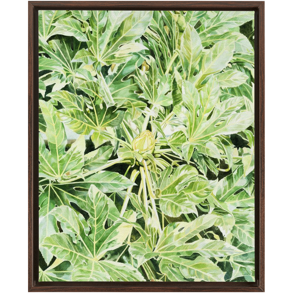 "Japonica"(Variegata)