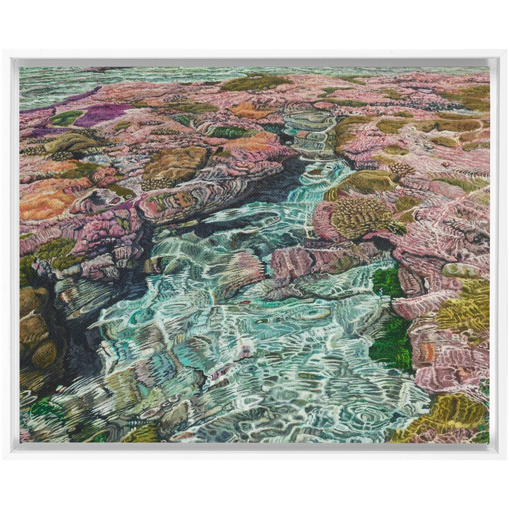 Coral Apocalypse