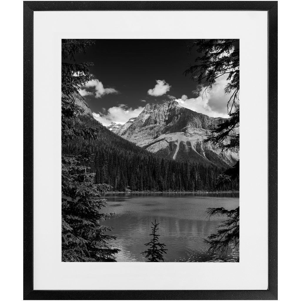 Lake, Trees & Mountains