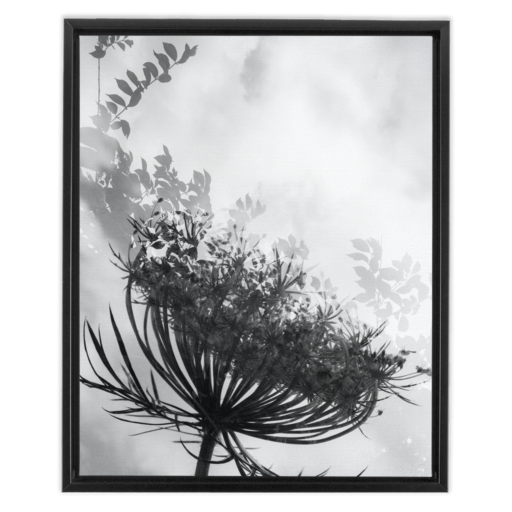 Dancing with the Clouds