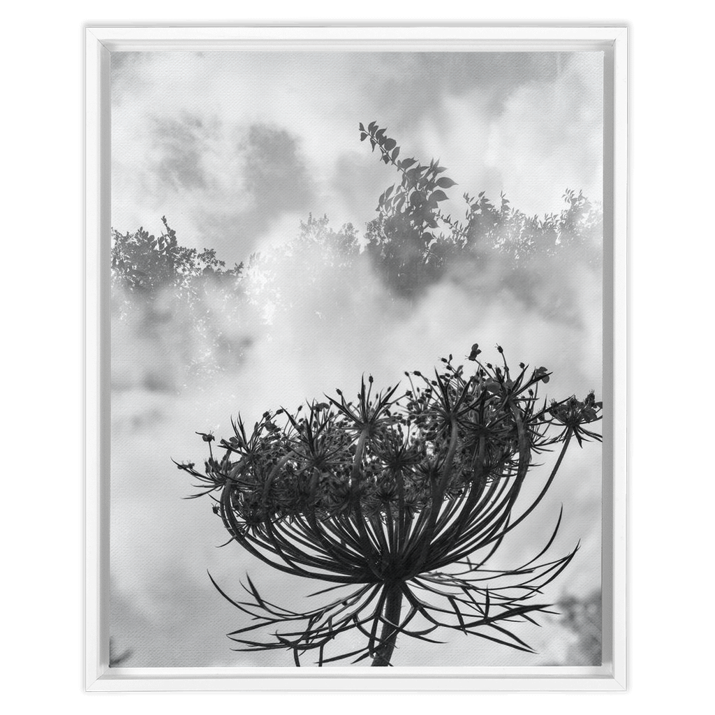Fog to the Clouds