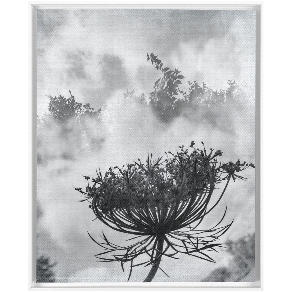 Fog to the Clouds