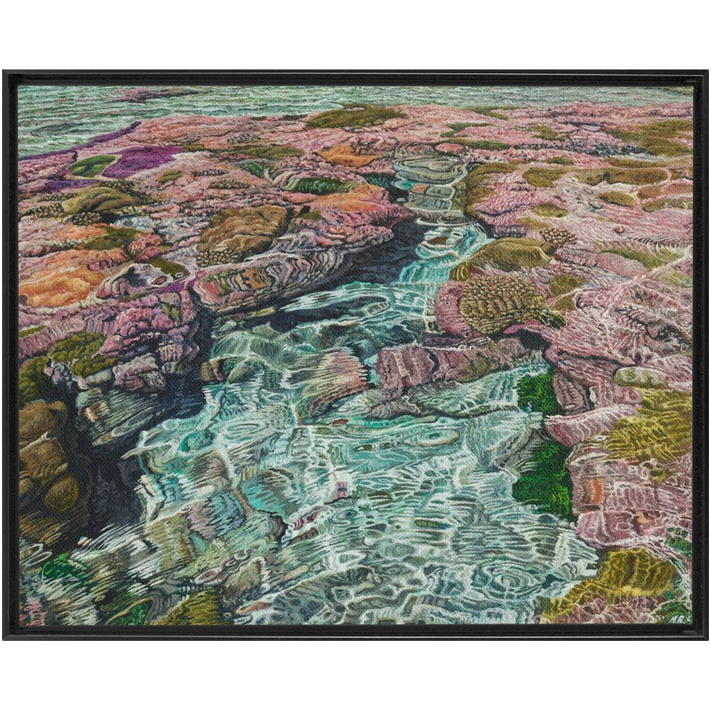 Coral Apocalypse