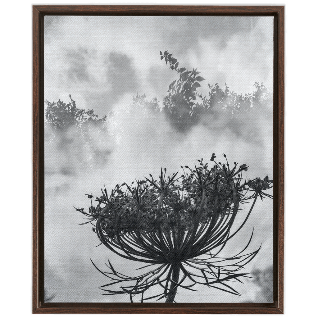 Fog to the Clouds