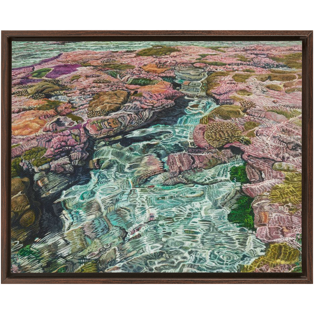 Coral Apocalypse