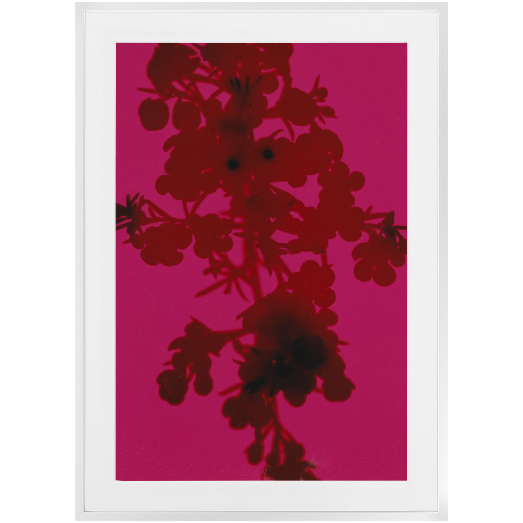 Polaroid Colour Study #4 –