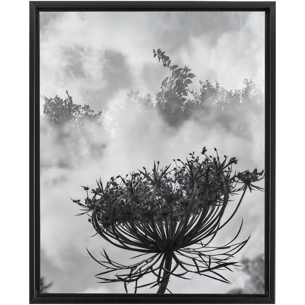 Fog to the Clouds
