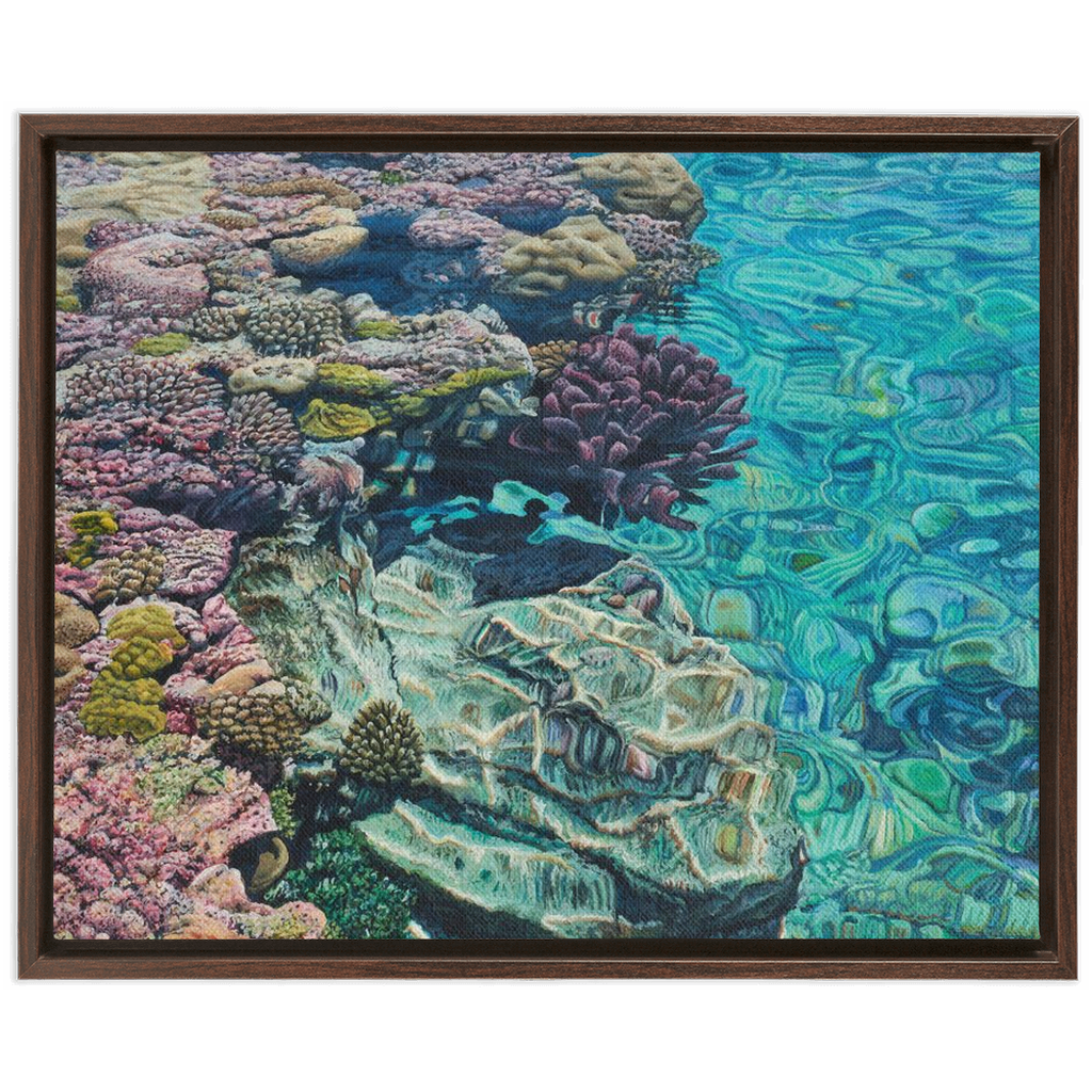 Coral Apocalypse