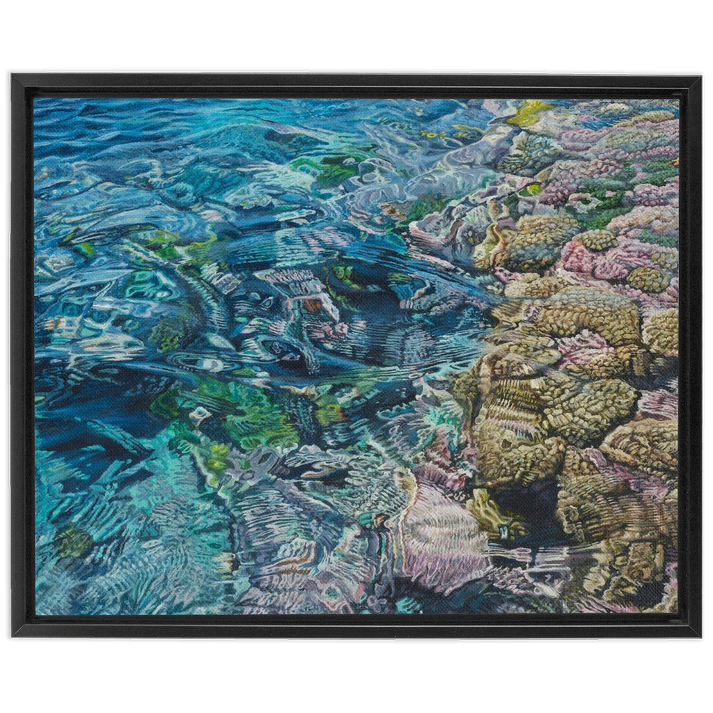 Coral Apocalypse