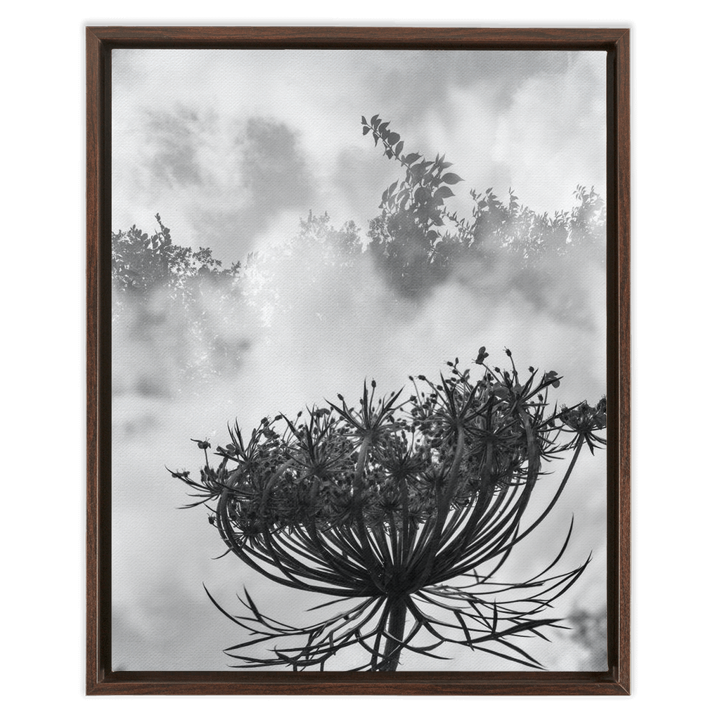 Fog to the Clouds