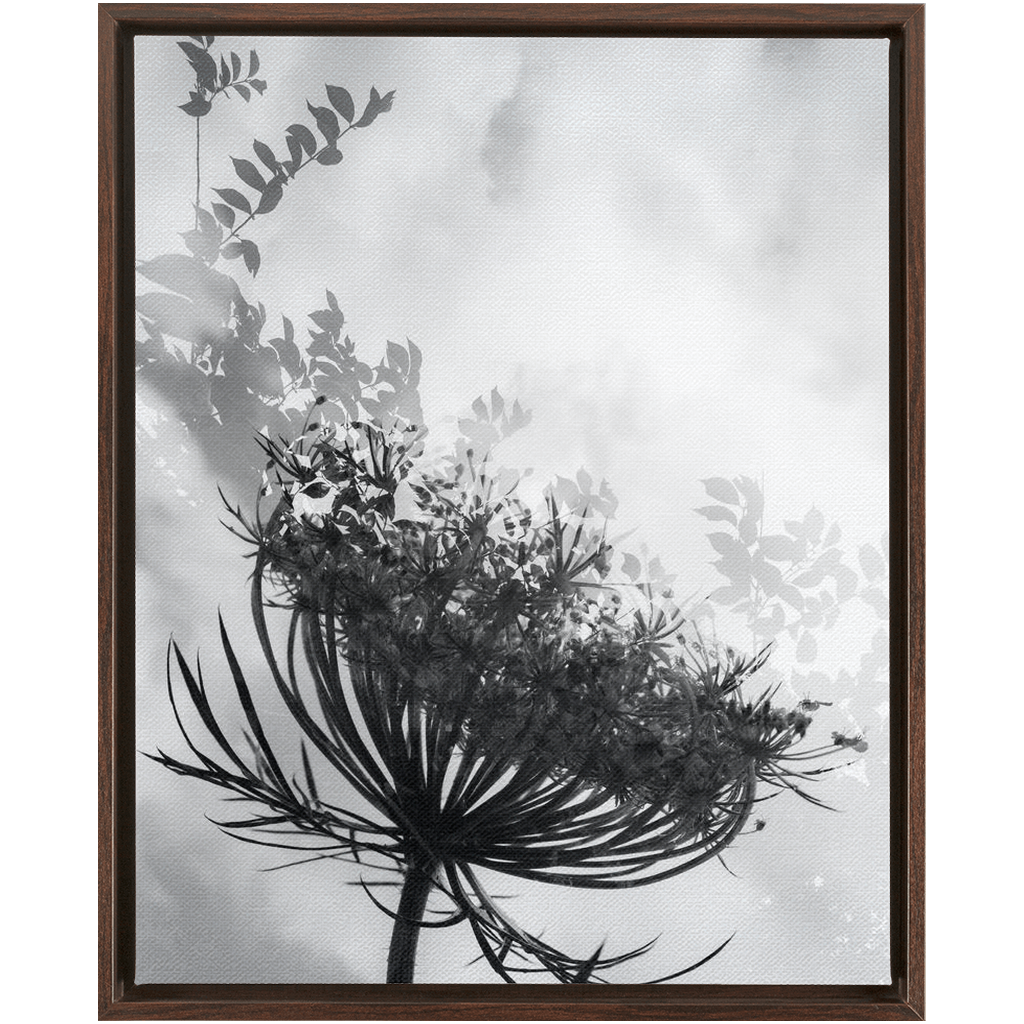 Dancing with the Clouds