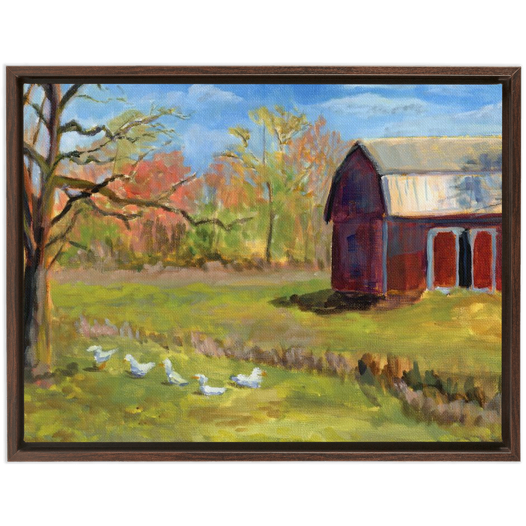 Ducks On The Farm