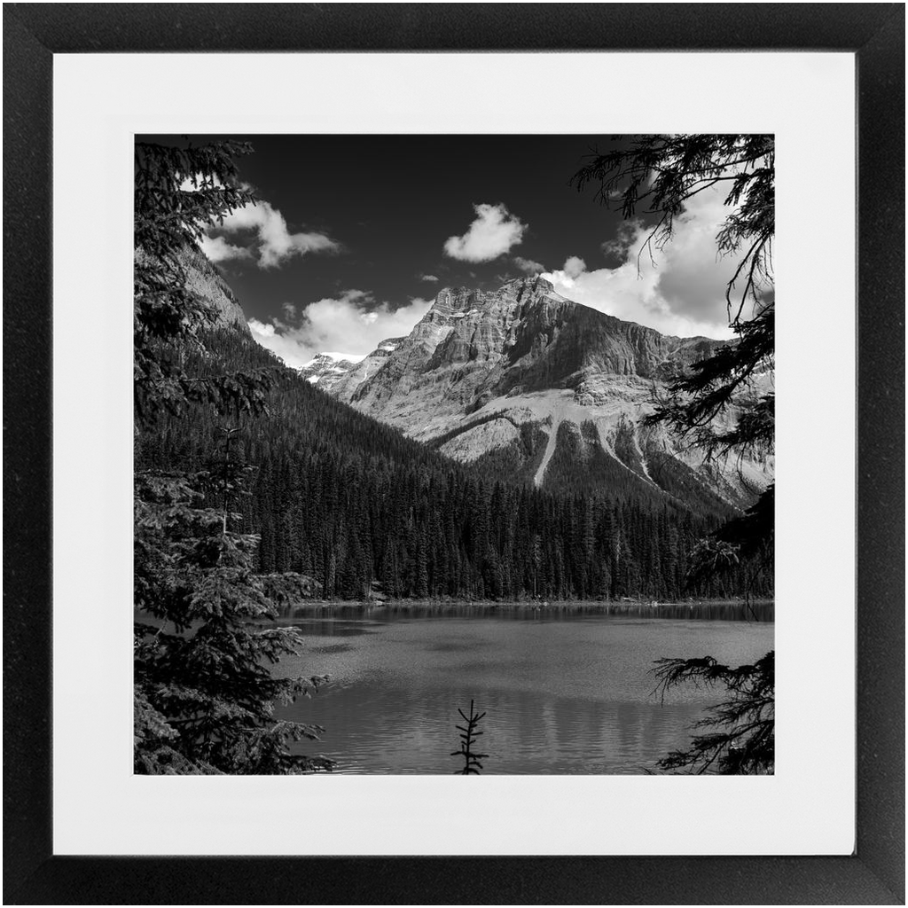 Lake, Trees & Mountains