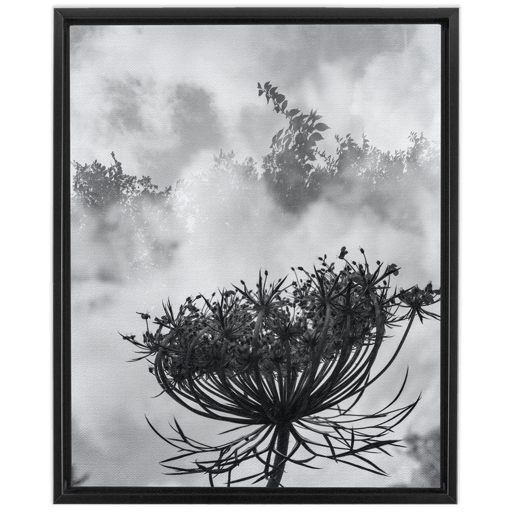 Fog to the Clouds