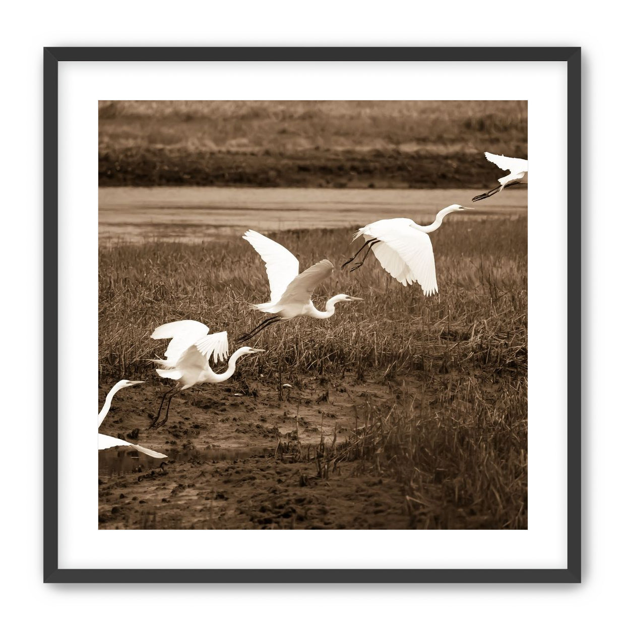 In Flight