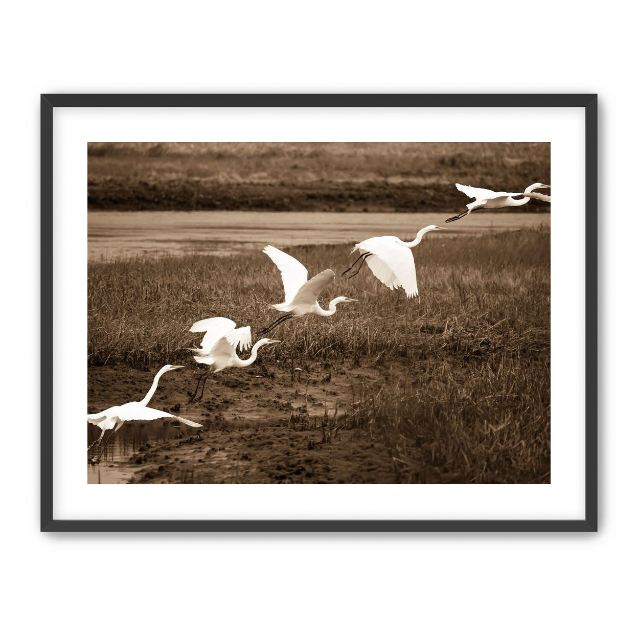 In Flight