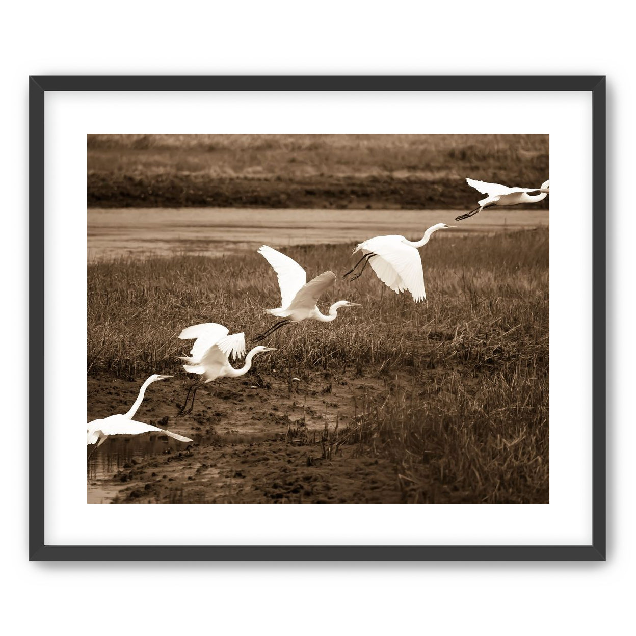 In Flight