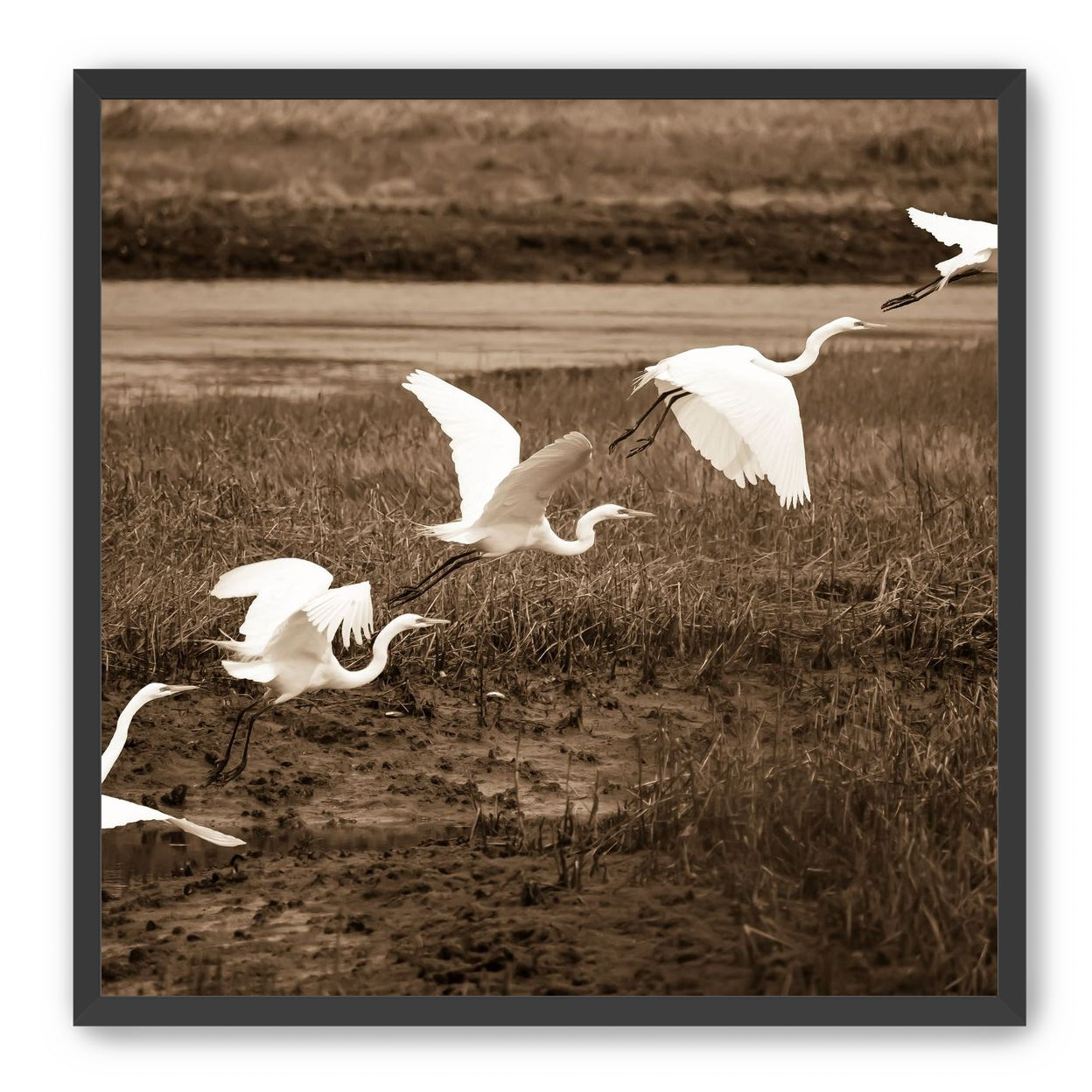 In Flight