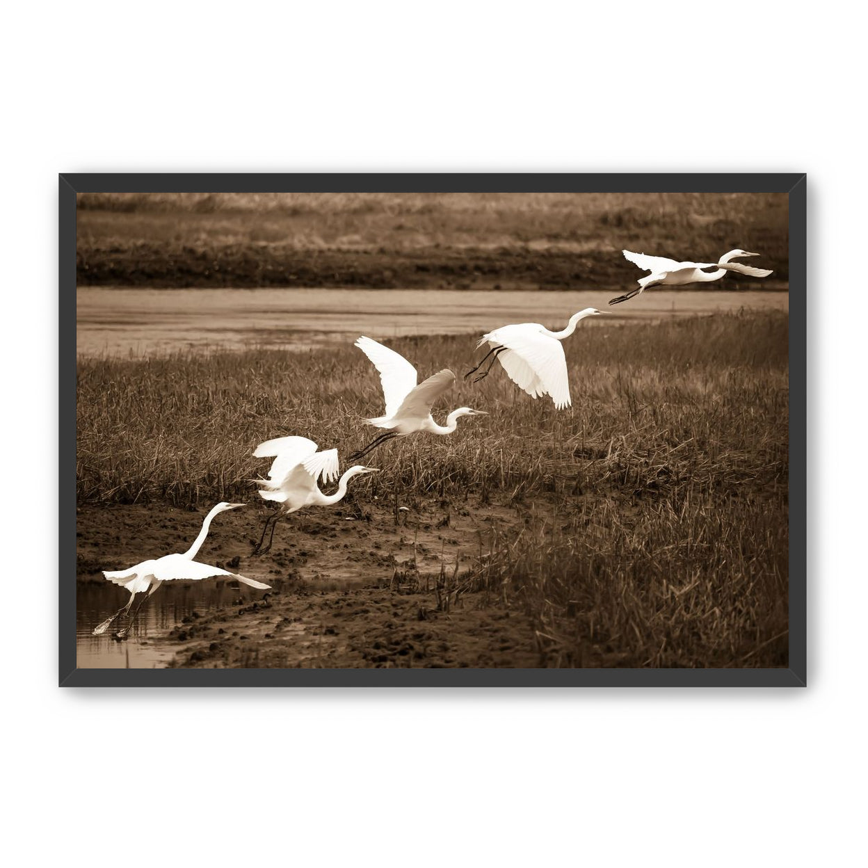In Flight
