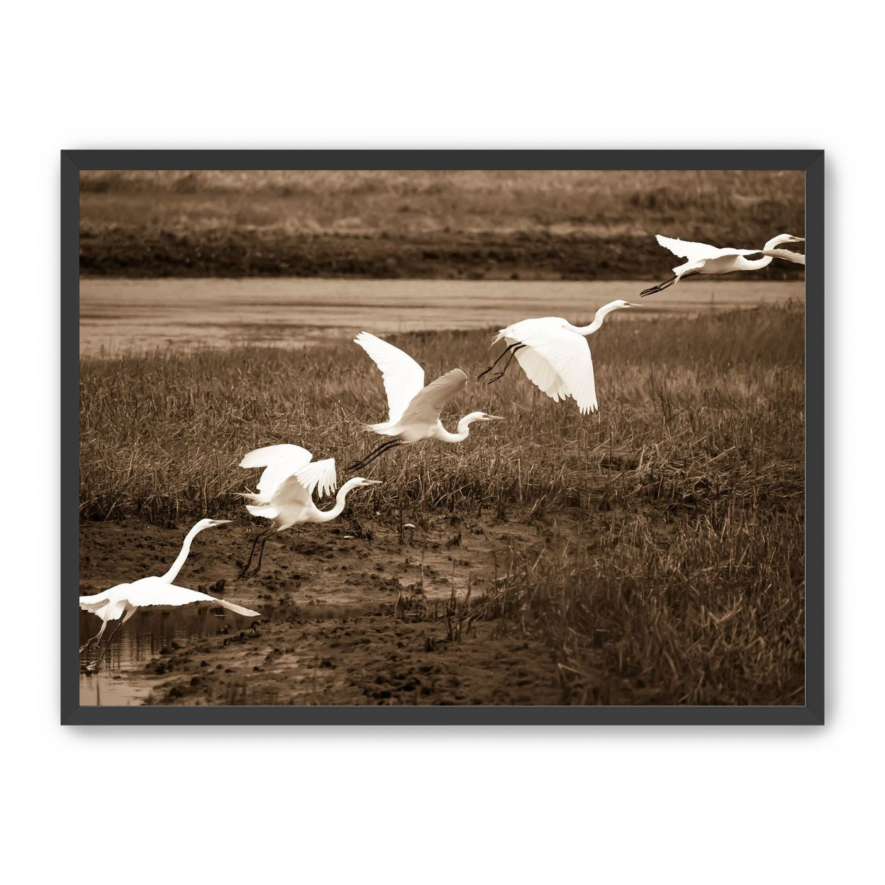 In Flight