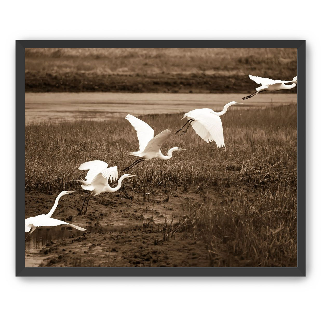 In Flight