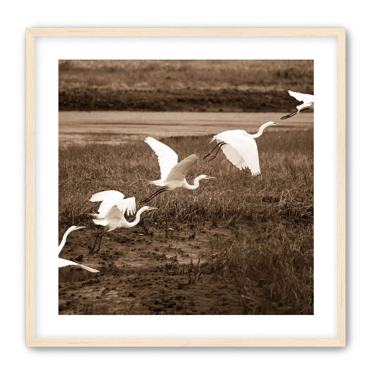 In Flight