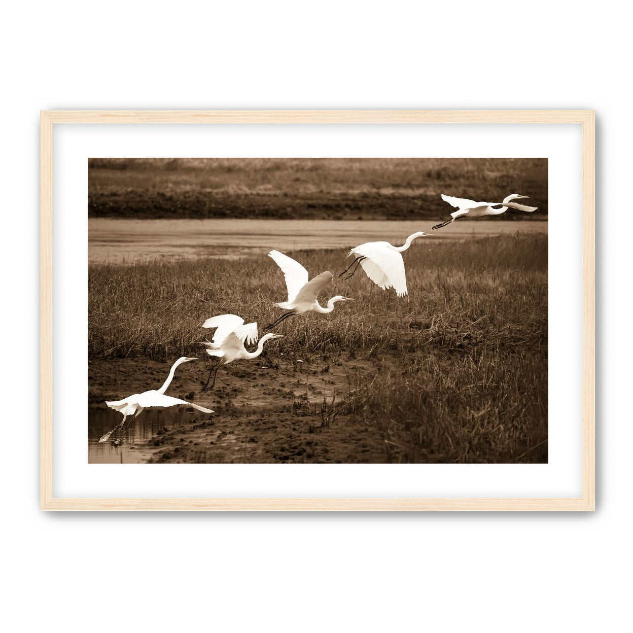 In Flight