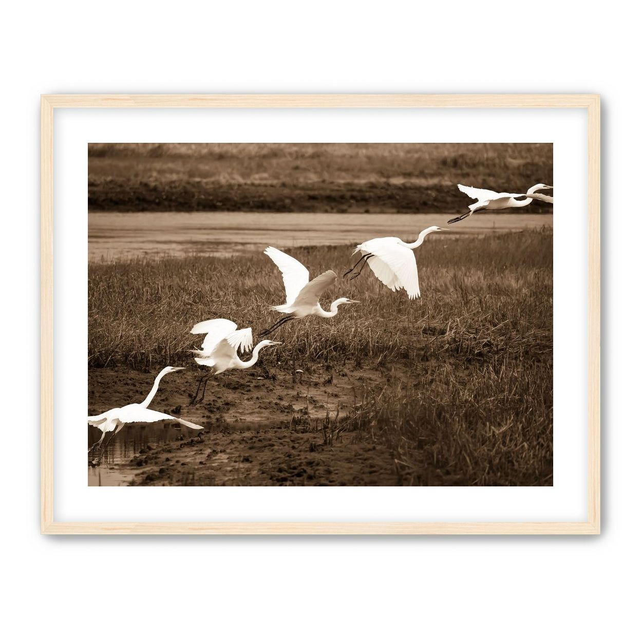 In Flight