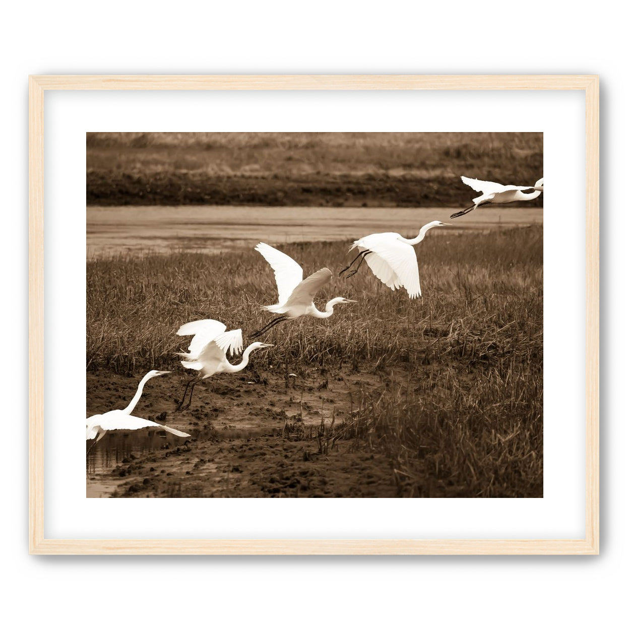 In Flight