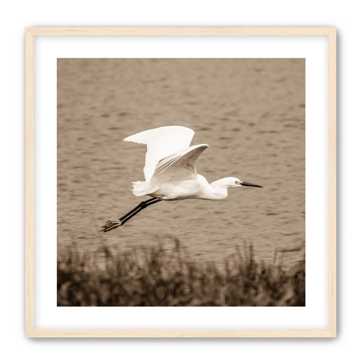Egret