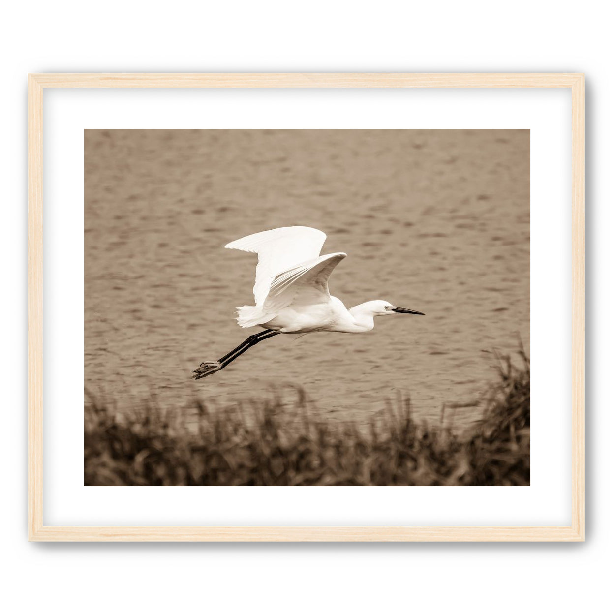 Egret