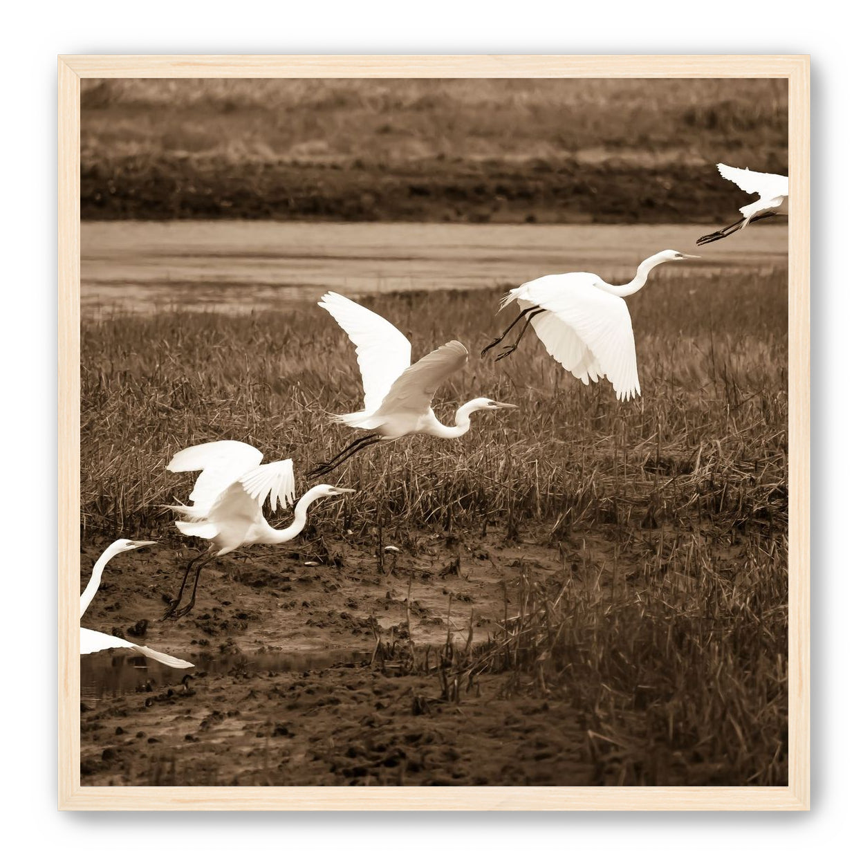 In Flight
